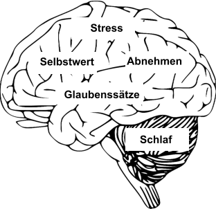 Hypnose und Coaching Hypnose und Beratung